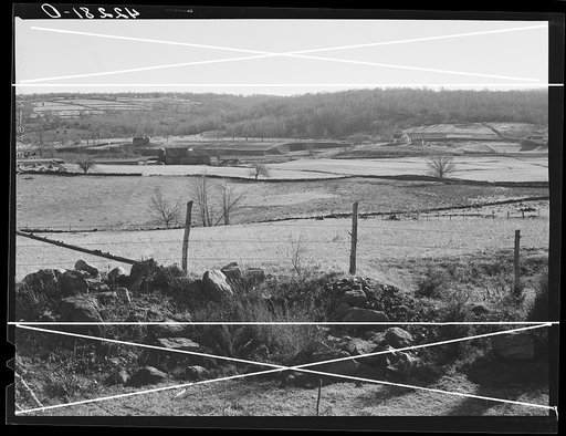 Eastern Connecticut landscape showing stone fences. Near Baltic, Connecticut