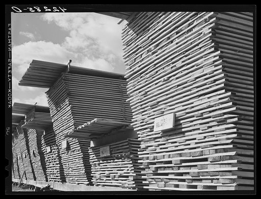 Hurricane timber. Ledyard, Connecticut