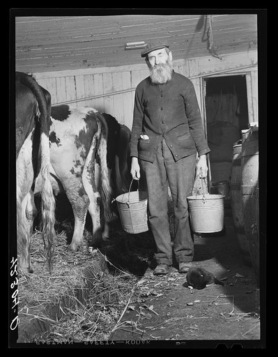 Untitled photo, possibly related to: Mr. Abraham Lapping. He and his wife run a small poultry and dairy farm and take in tourists during the summer. They are part of the Jewish community in Colchester, Connecticut