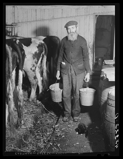Mr. Abraham Lapping. He and his wife run a small poultry and dairy farm and take in tourists during the summer. They are part of the Jewish community in Colchester, Connecticut