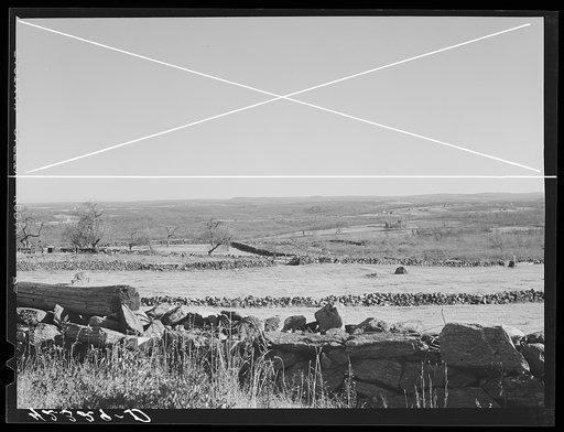 Landscape showing stone fences near Baltic, Connecticut