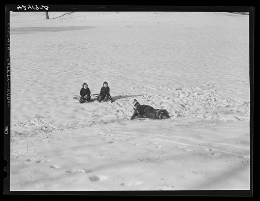 Children sledding. Ledyard, Connecticut