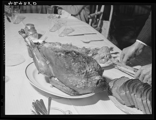 The Thanksgiving turkey at the home of Timothy Levy Crouch. Ledyard, Connecticut