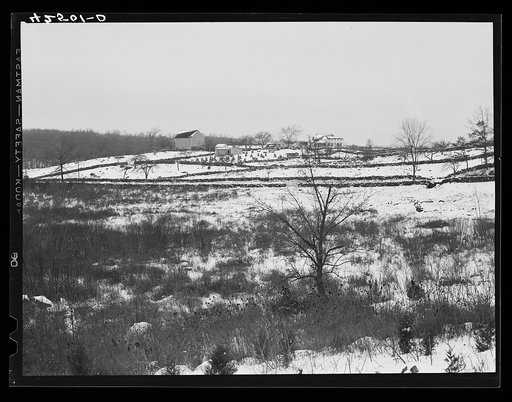 Rock fences and snow in Ledyard, Connecticut