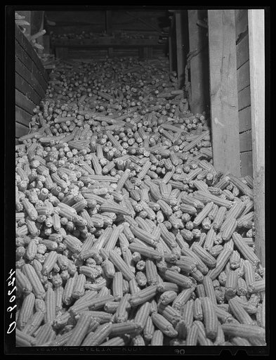 One of the corn bins at the Kenyon's johnnycake flour mill in Usquepaugh, Rhode Island