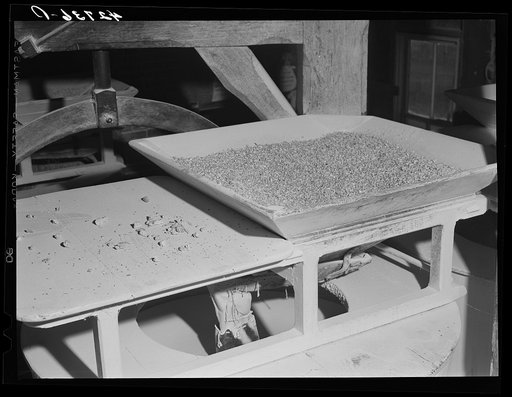 Corn over the grinding stone in Kenyon's johnnycake flour mill in Usquepaugh, Rhode Island