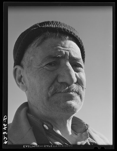Mr. Hazar Loosigian, Armenian. Runs a small vegetable farm. The money his son makes on WPA (Work Projects Administration) helps them get thru the winter. West Andover, Massachusetts
