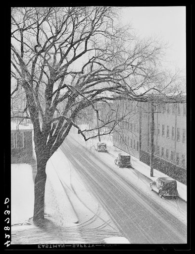 Street in Brockton, Massachusetts