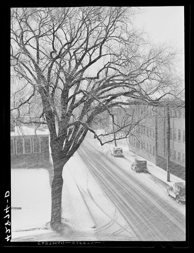 Untitled photo, possibly related to: Street in Brockton, Massachusetts