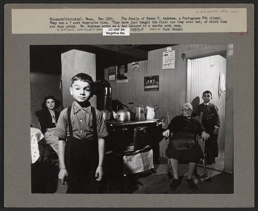The family of Peter V. Andrews, Portuguese. They run a small seven-acre vegetable farm near Falmouth, Massachusetts. Just got the first cow they ever had, of which they are very proud. Mr. Andrews works as a day laborer at a nearby Army camp. FSA (Farm Security Administration) clients