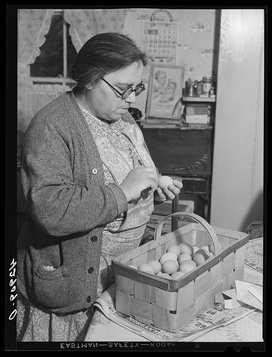 Mrs. Jaquin Silva, Portuguese poultry farmer and market gardener, has seven hundred hens. Her two sons work in town. Chelmsford, Massachusetts