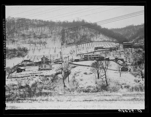 Houses in Aliquippa, Pennsylvania