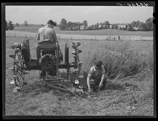 Adjusting cutter. Farm near Rockville, Maryland