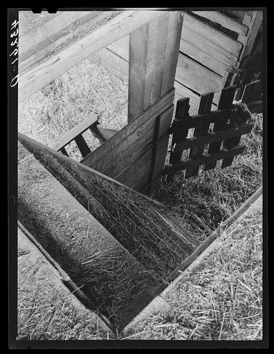Stairs in barn. Farm near Rockville, Maryland