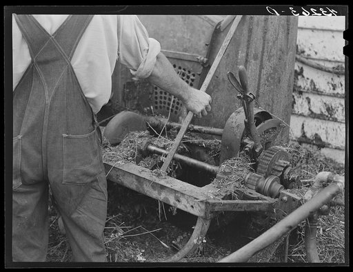 Machinery in motion on ensilage cutter. Rockville, Maryland