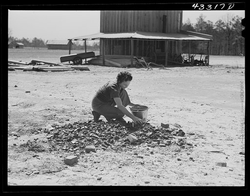 Untitled photo, possibly related to: Woman who lives with her family in the upper part of tobacco barn, gathering coal. Husband works at Fort Bragg. Near Fayetteville, North Carolina