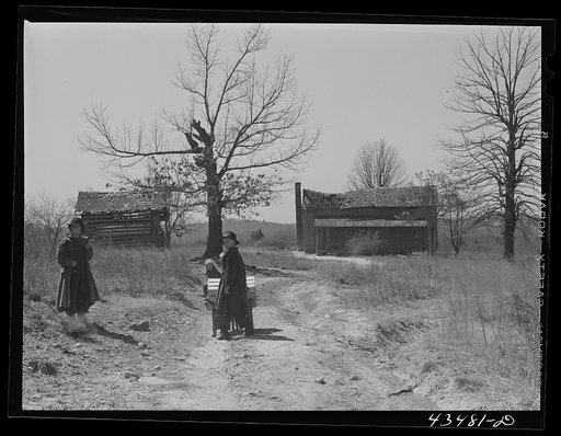 Children of a squatter family and the house in which they live in the Camp Croft area. South Carolina