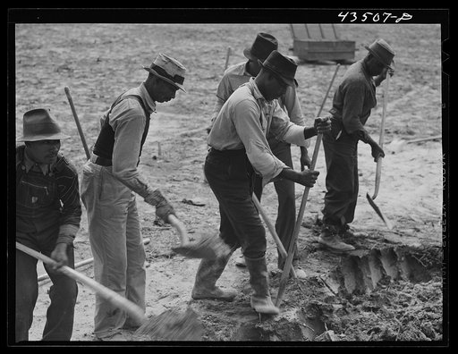 Untitled photo, possibly related to: Digging new graves for a cemetery that is being moved out of the Santee-Cooper basin. Near Bonneau, South Carolina