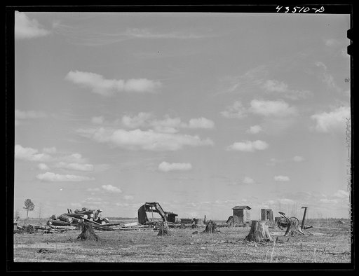 Cut-over land and the remains of a farm in the Santee-Cooper basin. South Carolina