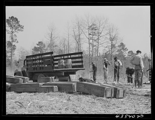 Digging new graves for a cemetery being moved out of Santee-Cooper basin. Near Bonneau, South Carolina