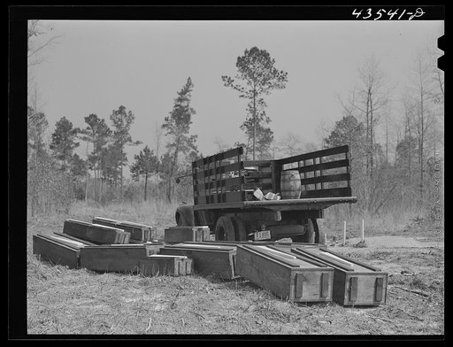 Untitled photo, possibly related to: Digging new graves for a cemetery being moved out of Santee-Cooper basin. Near Bonneau, South Carolina