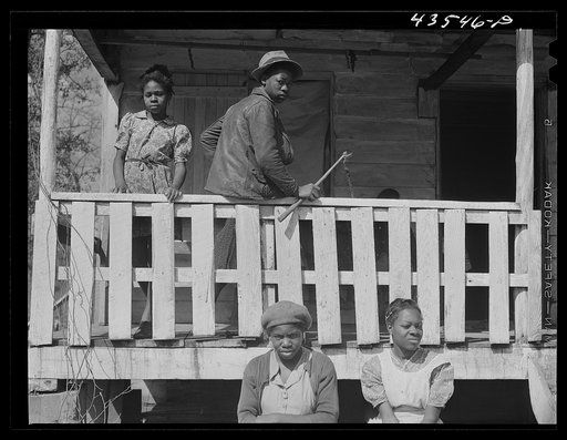 Untitled photo, possibly related to: Negro family who had moved out of the Santee-Cooper basin onto land which they had to clear themselves. Near Bonneau, South Carolina
