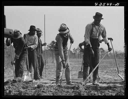 Digging new graves for a cemetery being moved out of the Santee-Cooper basin. Near Bonneau, South Carolina