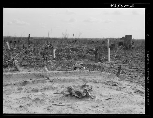 Untitled photo, possibly related to: Negro graveyard on abandoned land in the Santee-Cooper basin near Moncks Corner, South Carolina