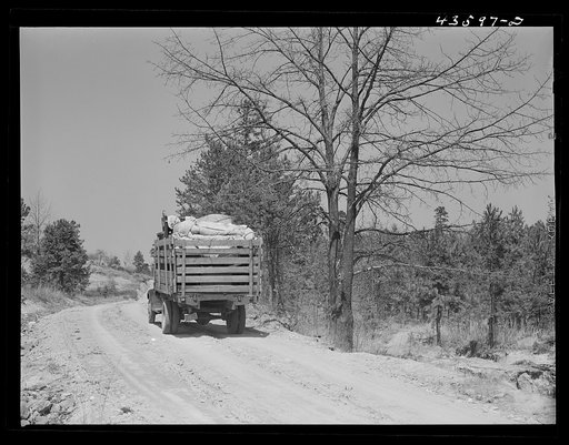 Untitled photo, possibly related to: Negro family moving their belongings out of the Camp Croft area. Near Whitestone, South Carolina