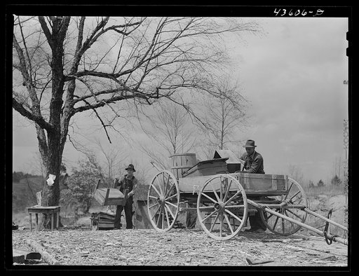 Untitled photo, possibly related to: Tenant farmer moving the last load of his belongings out of the Camp Croft area near Pacolet, South Carolina