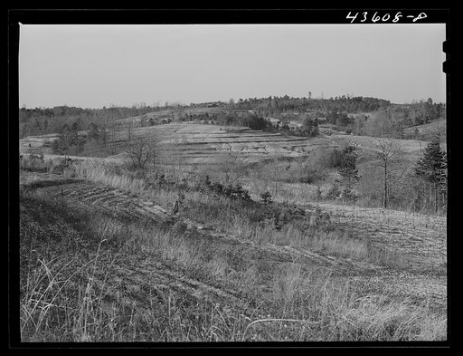 Untitled photo, possibly related to: Landscape in the Camp Croft area showing eroded land. Near Pacolet, South Carolina region