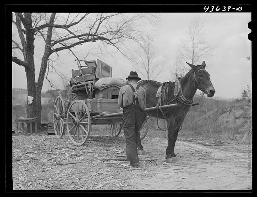 Tenant farmer moving the last load of his belongings out of the Camp Croft area near Pacolet, South Carolina