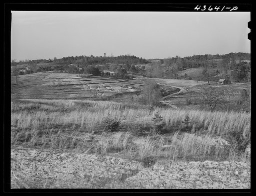 Landscape in the Camp Croft area showing eroded land. Near Pacolet, South Carolina region