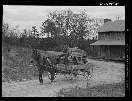 Untitled photo, possibly related to: Tenant farmer moving the last load of his belongings out of the Camp Croft area near Pacolet, South Carolina