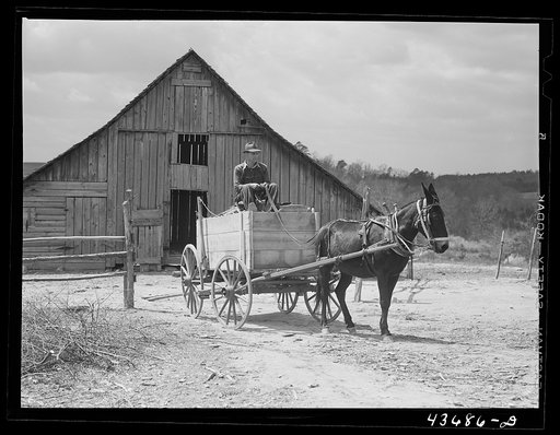 Untitled photo, possibly related to: Tenant farmer moving the last of his load out of his farmer home in Camp Croft area. Near Whitestone, South Carolina
