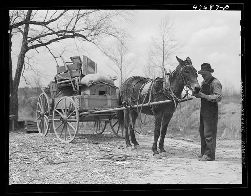 Untitled photo, possibly related to: Tenant farmer moving the last load of his belongings out of the Camp Croft area near Pacolet, South Carolina
