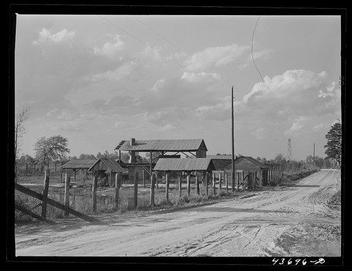 Untitled photo, possibly related to: Abandoned turpentine still might be put to use by Hazlehurst Farms Inc., Hazlehurst, Georgia