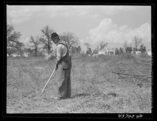 Untitled photo, possibly related to: Mr. Cecil Roy, clearing land at Hazlehurst Farms Inc. near Hazlehurst, Georgia