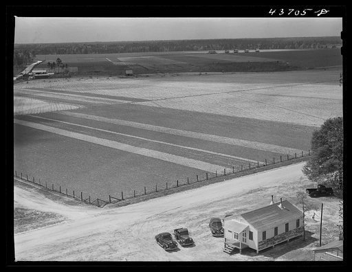 Untitled photo, possibly related to: Office and garden plots at Hazlehurst Farms Inc. Each family has a two acre garden. Hazlehurst, Georgia