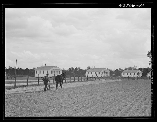 Untitled photo, possibly related to: Old farmer plowing in his part of the community garden at Hazlehurst Farms Inc., Hazlehurst, Georgia