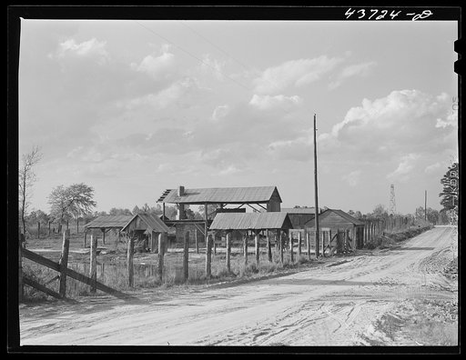 Abandoned turpentine still might be put to use by Hazlehurst Farms Inc., Hazlehurst, Georgia