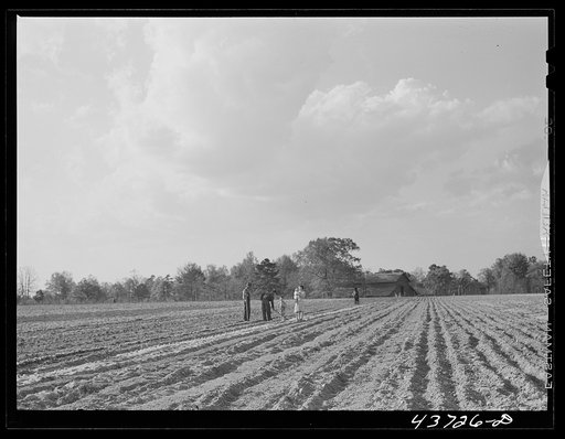 Untitled photo, possibly related to: Family working in their two-acre tract in the community garden at Hazlehurst Farms Inc., Hazlehurst, Georgia
