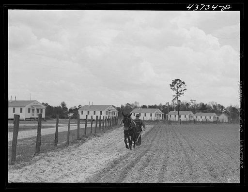 Untitled photo, possibly related to: Old farmer plowing in his part of the community garden at Hazlehurst Farms Inc., Hazlehurst, Georgia