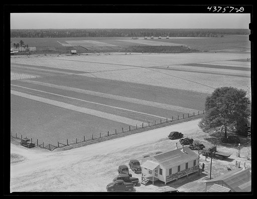 Untitled photo, possibly related to: Office and garden plots at Hazlehurst Farms Inc. Each family has a two acre garden. Hazlehurst, Georgia
