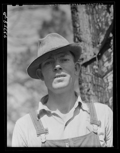 Terry Smith, one of the farmers living at Hazlehurst Farms. He was chipping turpentine at the farms to earn a livelihood. Hazlehurst, Georgia