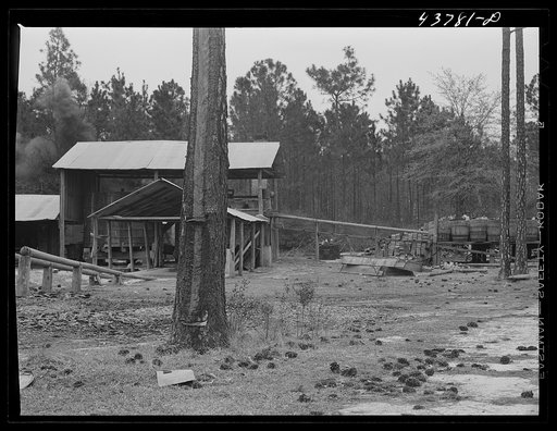 A turpentine still near Pembroke, Georgia