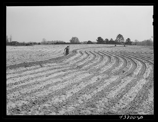 Untitled photo, possibly related to: Plowing and planting on a farm near Pacolet, South Carolina