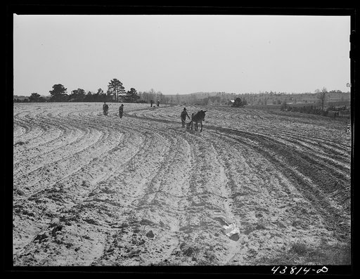 Plowing and planting on a farm near Pacolet, South Carolina
