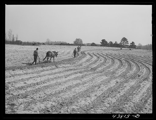 Plowing and planting on a farm near Pacolet, South Carolina
