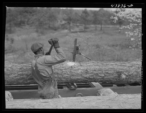 Untitled photo, possibly related to: Sawmill worker in Heard County, Georgia